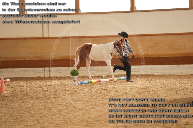 s_A_901027.JPG